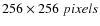 $256\times256\;pixels$
