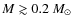 $M\gtrsim0.2~M_{\odot}$