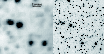 \begin{figure}
\par\includegraphics[width=9cm,clip]{13527_fig2.eps}
\end{figure}