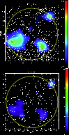 \begin{figure}
\par\includegraphics[width=8.5cm,angle=-90,clip]{13688fg2a.eps} \includegraphics[width=8.5cm,angle=-90,clip]{13688fg2b.eps}
\end{figure}