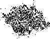 \begin{figure}
\includegraphics[width=9cm,clip]{13829fig5.eps}
\end{figure}