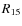$R_{\rm 15}$