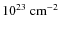 $10^{23}~{\rm cm}^{-2}$