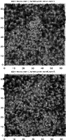 \begin{figure}
\par\begin{tabular}{c}
{\footnotesize SST 30.09.2007 / AVERAGE: 0...
...} \\
\includegraphics[width=8.2cm,clip]{13264fg6.eps}\end{tabular}
\end{figure}
