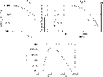 \begin{figure}
\par\includegraphics[width=5cm,angle=90]{13499f22.eps}\includegra...
...\includegraphics[width=5cm,angle=90]{13499f24.eps}\hspace*{3.5cm}}\end{figure}