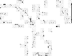 \begin{figure}
\par\includegraphics[width=5cm,angle=90]{13499f51.eps}\includegra...
...\includegraphics[width=5cm,angle=90]{13499f53.eps}\hspace*{3.8cm}}\end{figure}