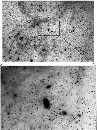 \begin{figure}
\par\includegraphics[width=8.5cm,clip]{14085fg1.eps}
\end{figure}