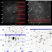 \begin{figure}
\par\includegraphics[width=4.5cm]{Fig1a.eps}\includegraphics[widt...
...ics[width=4.5cm]{Fig1b.eps}\includegraphics[width=4.5cm]{Fig1d.eps}
\end{figure}