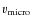 $v_{\rm micro}$