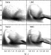 \begin{figure}
\par\includegraphics[width=9cm,clip]{14267fg14.ps}
\end{figure}