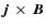 $\vec{j}~\times~\vec{B}$