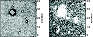 \begin{figure}
\par\includegraphics[width=8.2cm,clip]{14790fg4.eps}
\end{figure}