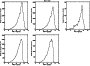\begin{figure}
\par\includegraphics[width=7.9cm,clip]{12232fgB1.ps}
\end{figure}