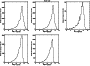 \begin{figure}\includegraphics[width=7.9cm,clip]{12232fgB2.ps}
\end{figure}
