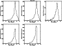 \begin{figure}\par\includegraphics[width=7.9cm,clip]{12232fgB3.ps}
\end{figure}