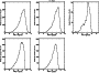 \begin{figure}\par\includegraphics[width=7.9cm,clip]{12232fgB5.ps}
\end{figure}