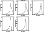 \begin{figure}\includegraphics[width=7.9cm,clip]{12232fgB6.ps}
\end{figure}