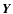 $\vec{Y}$