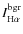 $I_{\rm H\alpha}^{\rm bgr}$