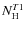 $N_{\rm H}^{T1}$