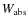 $W_{\rm abs}$