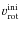 $v_{\rm rot}^{\rm ini}$