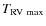 $T_{\rm RV~max}$