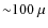 ${\sim} 100~\mu$