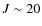 $J\sim20$