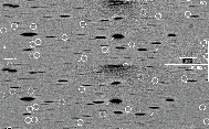 \begin{figure}
\par\includegraphics[angle=270, width=17cm,clip]{14428fg2}
\end{figure}