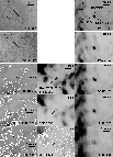 \begin{figure}
\par\mbox{\includegraphics[width=3cm]{14513fg1a.eps}\includegraph...
...=3cm]{14513fg1b.eps}\includegraphics[width=3cm]{14513fg1c.eps} }
\end{figure}