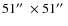 $51\hbox {$^{\prime \prime }$ }\times 51\hbox {$^{\prime \prime }$ }$