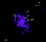 \begin{figure}
\par\includegraphics[width=8cm,clip]{14613fg1.eps}
\end{figure}