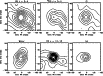 \begin{figure}
\par\includegraphics[angle=90,width=9cm,clip]{14622fg3.eps} %
\end{figure}