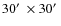 $30\hbox{$^\prime$ }\times 30\hbox{$^\prime$ }$