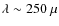 $\lambda \sim 250~\mu$
