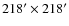 $218^\prime \times 218^\prime$