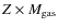 $Z \times M_{\rm gas}$