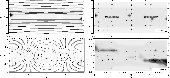 \begin{figure}
\par\includegraphics[width=15cm,clip]{13569fg15.eps} \vspace*{2.5mm}
\end{figure}