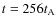 $t=256 t_{\rm A}$