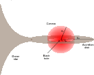 \begin{figure}
\par\includegraphics[width=12cm,clip]{13663fg1.eps}
\end{figure}