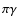 $\pi \gamma$