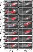 \begin{figure}
\par\includegraphics[width=0.95\columnwidth]{13957_f5.eps} %
\end{figure}