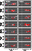 \begin{figure}
\par\includegraphics[width=0.95\columnwidth]{13957_f6.eps} %
\par\end{figure}