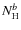 $N_{\rm H}^b$