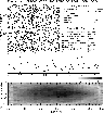 \begin{figure}
\par\includegraphics[width=8.5cm,clip]{14025fig1.eps}\par\includegraphics[width=8.5cm,clip]{14025fig2.eps}
\end{figure}