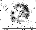 \begin{figure}
\par\includegraphics[width=70mm,clip]{14031fg1.eps}
\end{figure}