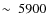 $\sim~ 5900$