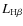 $L_{{\rm H}\beta}$