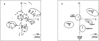 \begin{figure}
\par\includegraphics[width=17.5cm,clip]{14646fg1.eps}
\vspace*{5mm}
\end{figure}